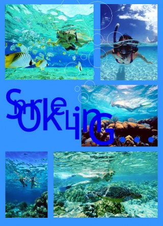 snorkeling 02